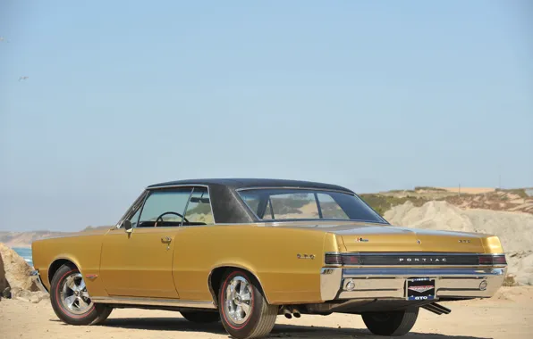 Pontiac, GTO, Muscle Car