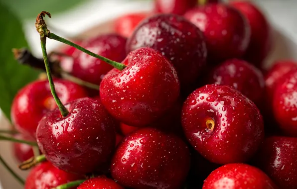 Вишня, ягоды, дерево, fresh, wood, basket, cherries, Sweet