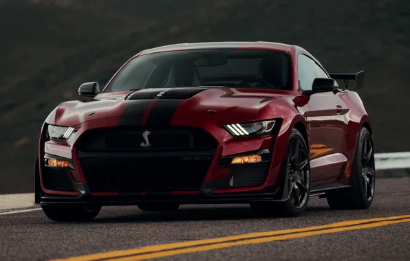 Разметка, Mustang, Ford, Shelby, GT500, кровавый, 2019
