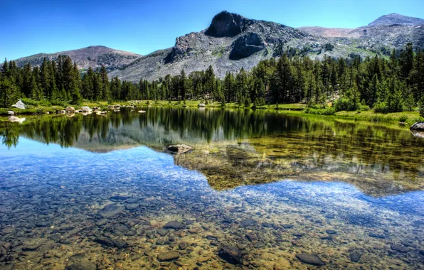 Картинка лес, пейзаж, горы, природа, озеро, река, Yosemite National Park