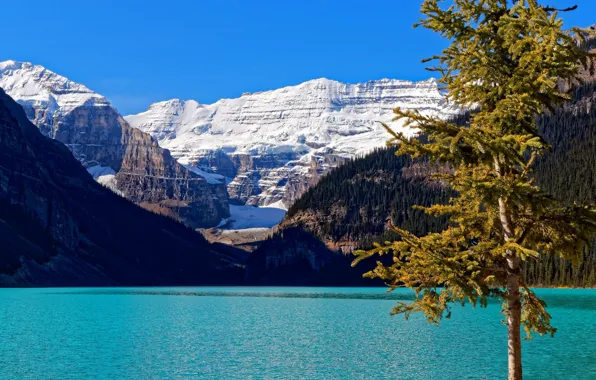 Канада, Альберта, Banff National Park, Национальный парк Банф, озеро Луиз
