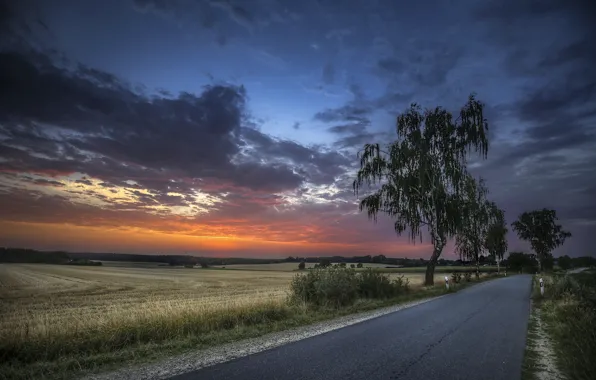 Картинка дорога, поле, закат