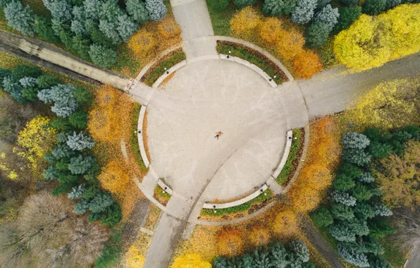Картинка осень, деревья, парк, человек, лежит, вид сверху, с высоты, с высоты птичьего полета
