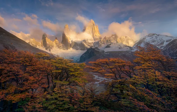 Картинка осень, деревья, горы, краски, утро, пики, Анды, Южная Америка