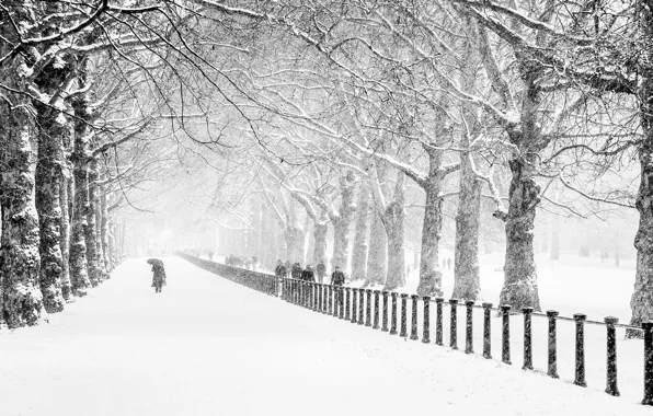 Картинка зима, дорога, снег, деревья, город, парк, люди, Лондон