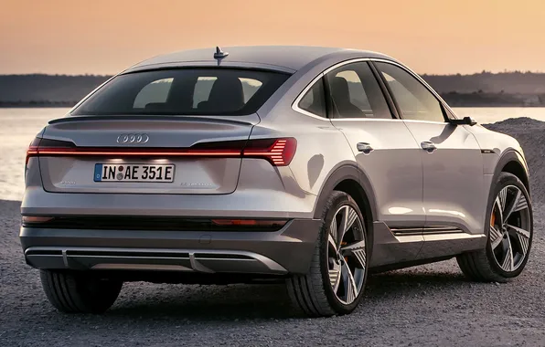 Озеро, Audi, берег, серебристый, e-tron, quattro, Sportback, Exterior