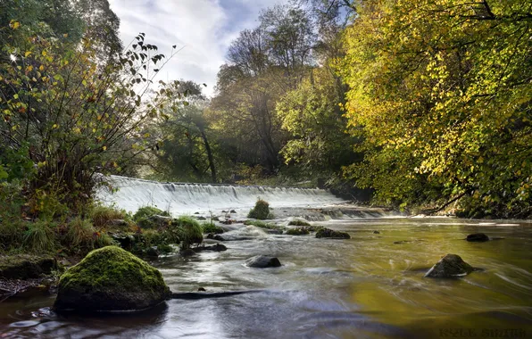 Картинка Water of Leith, Colinton Dell, Bonny Scotland, Morning Light