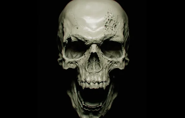 Картинка skull, vampire, bones, teeth