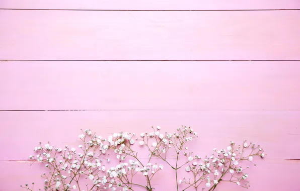 Картинка цветы, фон, розовый, белые, pink, flowers, background, wooden