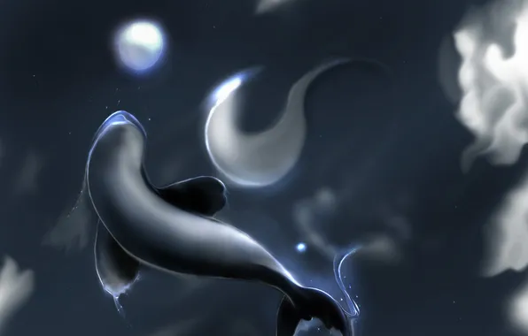 Картинка дельфин, рендеринг, обоина