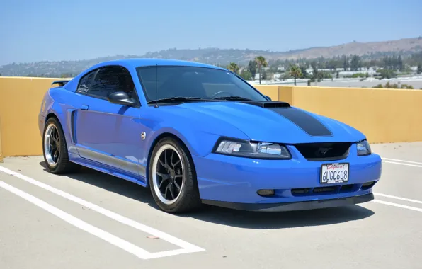 Mustang, Ford, 2004, Anniversary, 40th