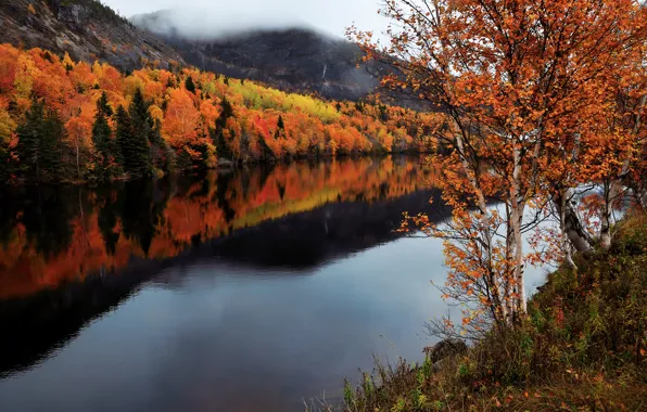 Осень, река, Канада, Humber River, провинция Ньюфаундленд и Лабрадор