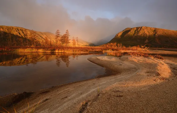 Картинка осень, деревья, горы, берег, водоем, сосна