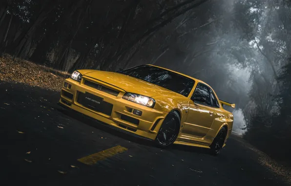 Тюнинг, Nissan, Cars, Skyline, Nissan Skyline, Tuning, Godzilla, Nismo