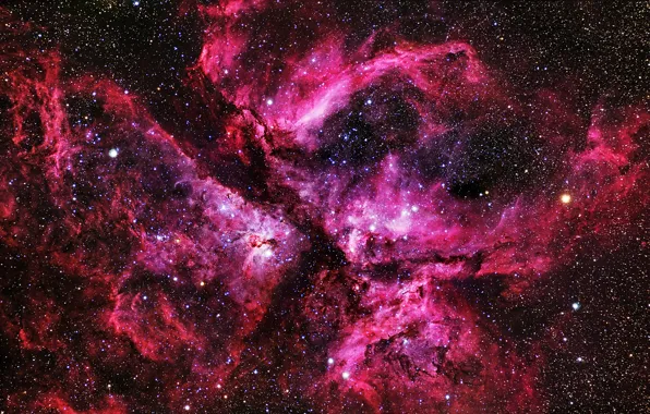 Звезды, туманность, nebula