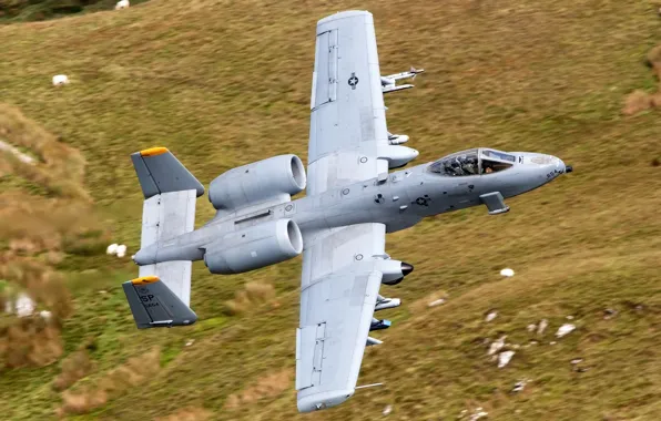 Картинка кабина, пилот, полёт, штурмовик, A-10, Thunderbolt II