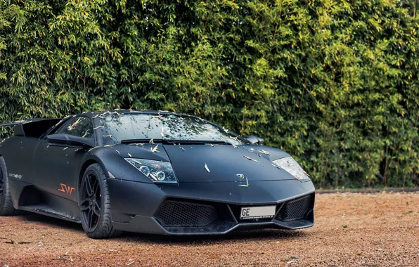 Картинка Lamborghini, Lamborghini Murcielago, Murcielago