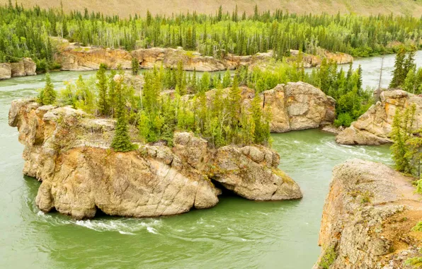 Лес, деревья, река, скалы, Канада, Территория Юкон, Five Finger Rapids, Treacherous Rock islands