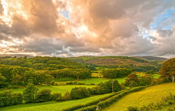 Картинка зелень, поле, трава, облака, деревья, холмы, Великобритания, Wales