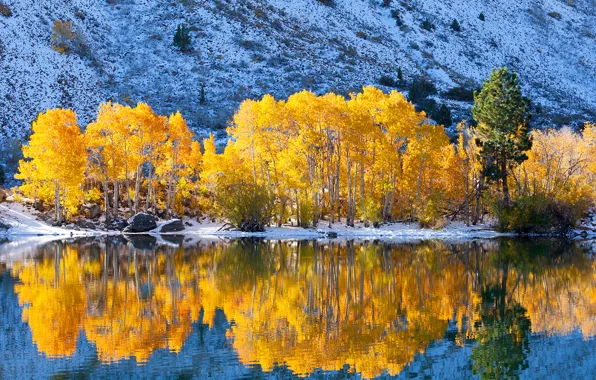 Картинка осень, снег, деревья, озеро, гора