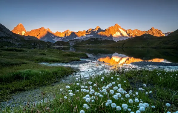 Картинка свет, цветы, горы, озеро