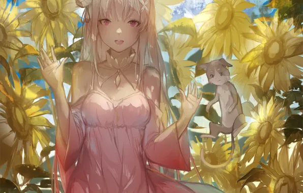 Кот, девушка, С нуля, Re: Zero Kara Hajimeru Isekai Seikatsu