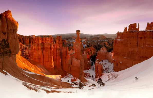 Usa, utah, bryce canyon, navajo loop trail