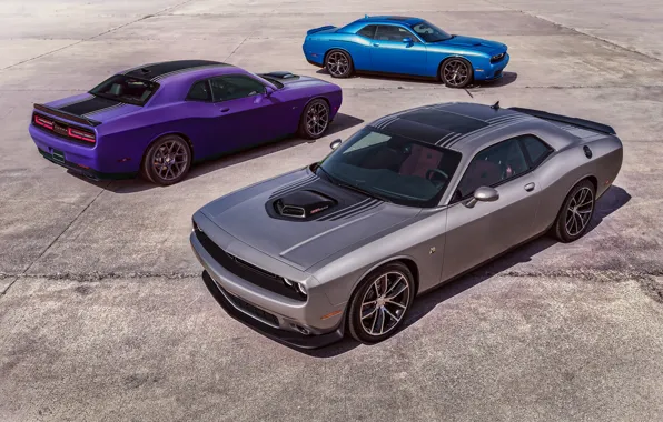 Dodge, Challenger, Muscle Car