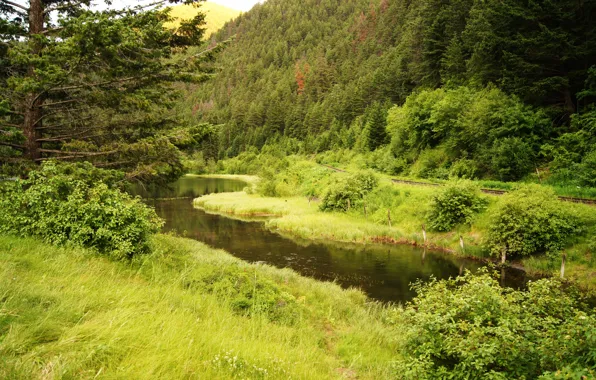 Картинка зелень, лес, горы, озеро, Канада, железная дорога, Pear Lake