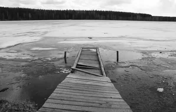 Лед, лес, мост, озеро, черно-белая