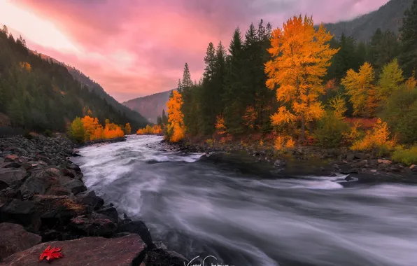 Картинка осень, лес, природа, река, камни, скалы, краски, поток