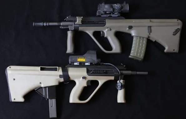 Автоматы, Тавор, TAR-21, STEYR Aug