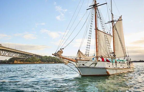 Корабль, парусник, команда, паруса, мачты, sailing, Ted Ashby, Cruiser yacht