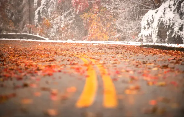 Картинка дорога, листья, снег, поворот