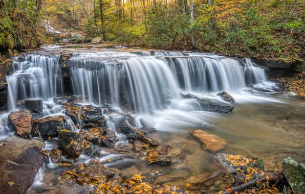 Осень, лес, камни, фото, водопад