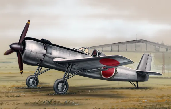 Nakajima, камикадзе, Ki-115, Цуруги, Tsurugi, бомбардировщик для камикадзе, японский специализированный самолёт, Ки-115