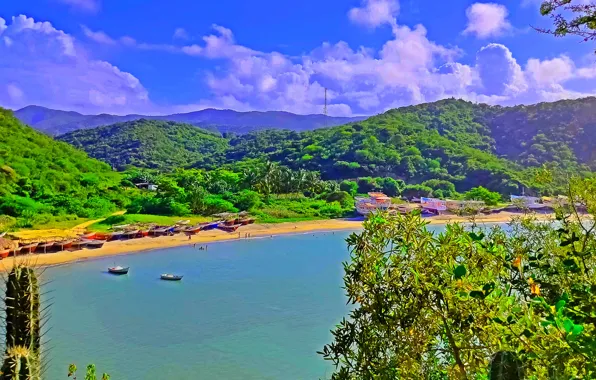 Venezuela, naturaleza, Playa, @djmimo.tv
