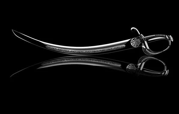 Sword, ken, blade, revolution