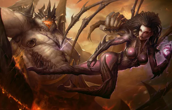 Попа, грудь, ноги, тело, красота, сиськи, starcraft, задница