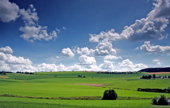 Картинка небо, облака, деревья, поля, долина