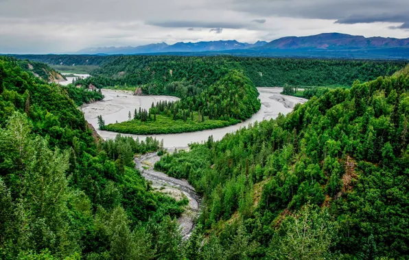 Лес, деревья, пейзаж, река, Alaska, Denali National Park