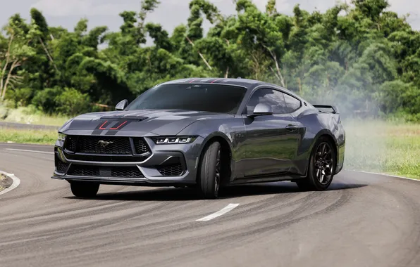 Brazil, Форд Мустанг, Ford Mustang GT, 2025, 60th Anniversary, Performance Manual