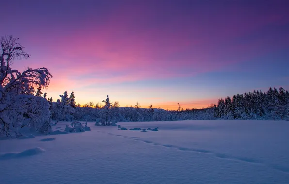 Картинка зима, снег, деревья, закат, Норвегия, Norway, Troms, Kvæfjordeidet