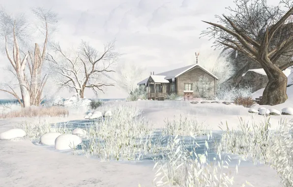 Зима, снег, деревья, пейзаж, дом