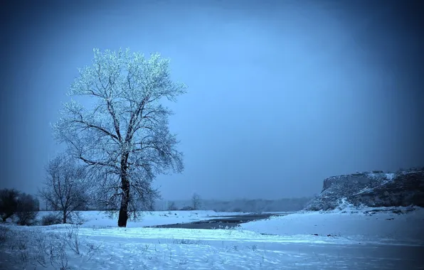 Картинка иней, поле, снег, дерево, Зима, горка