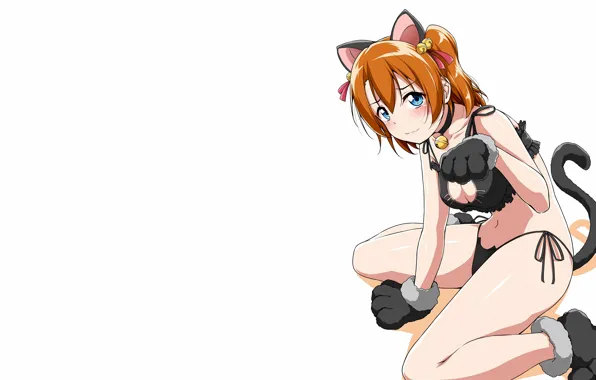 Girl, sexy, lingerie, pantsu, bra, cleavage, panties, long hair