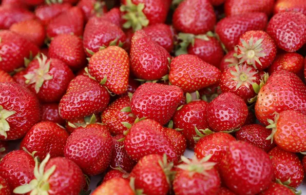 Картинка ягоды, клубника, много