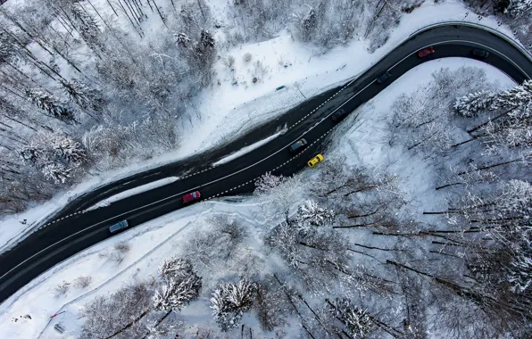 Картинка зима, дорога, лес, машины