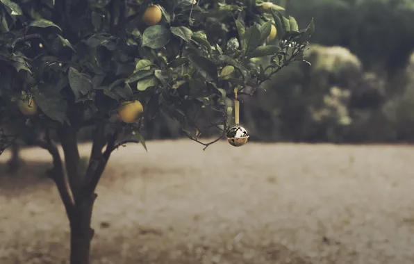 Картинка Christmas, Bell, Orange Grove