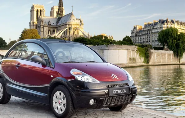 Париж, собор, Citroen, pluriel, C3